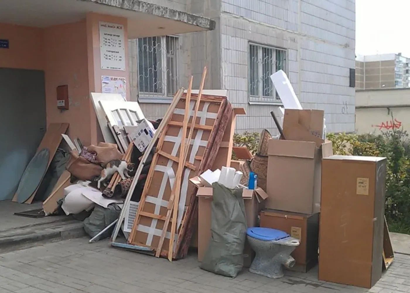 Профессиональный вывоз мусора из квартиры в Шахтах в октябре