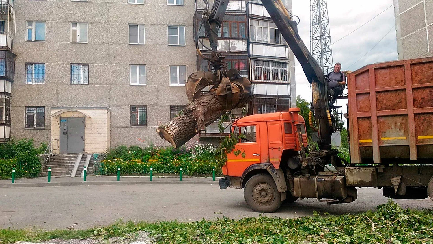 Вывоз спиленных веток и деревьев в Шахтах от ПроМусор: порубочные остатки, утилизация, цена от 3147 руб