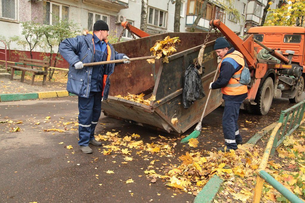 Вывоз опавшей листвы и растительного мусора в Шахтах от ПроМусор – цена от 4884 руб., быстрая уборка и утилизация